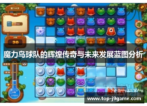 魔力鸟球队的辉煌传奇与未来发展蓝图分析