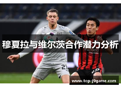 穆夏拉与维尔茨合作潜力分析